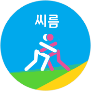 씨름